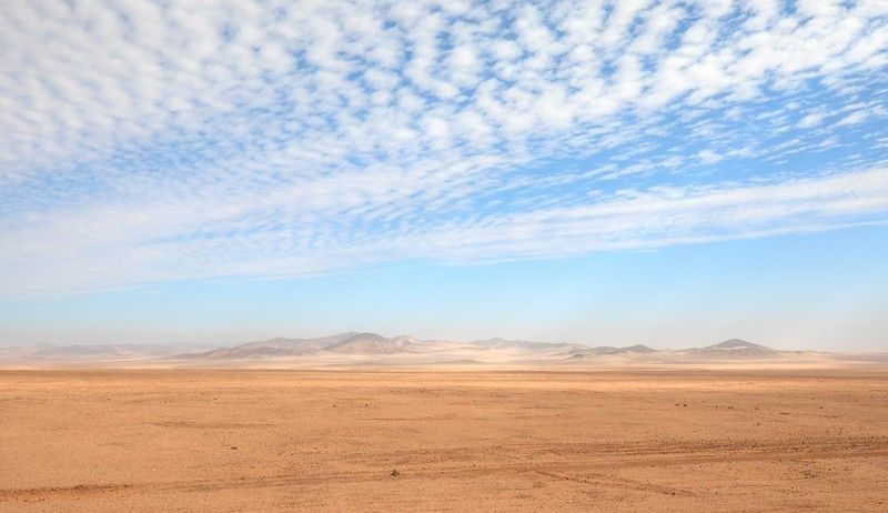 desert plains of africa