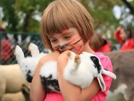 young girl holding rabbit at Barnfest
