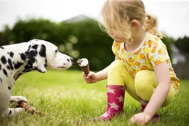 young girl sharing ice-cream with her dog