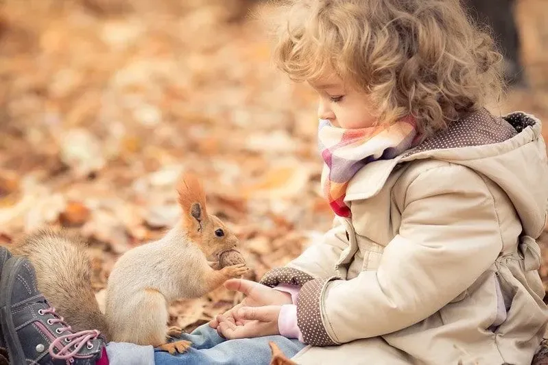 Little girl wearing scarf and coat feeding a squirrel with fluffy ears.