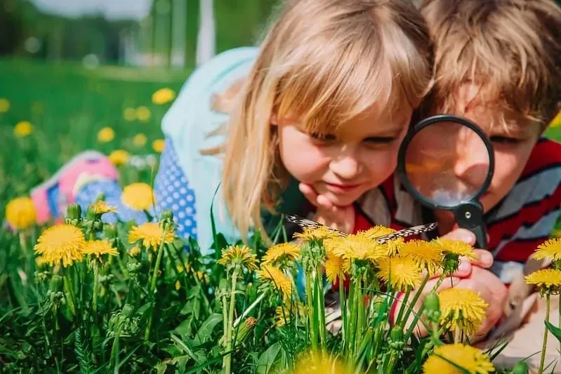 Two small children looking at a butterfly on some dandelions through a ma
