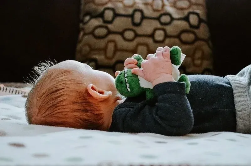 Baby lying on its back looking away holding a stuffed toy dinosaur.