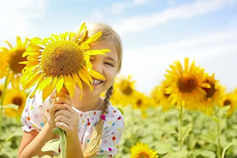 Little girl playing in a sunflower field, holding a sunflower and smiling.