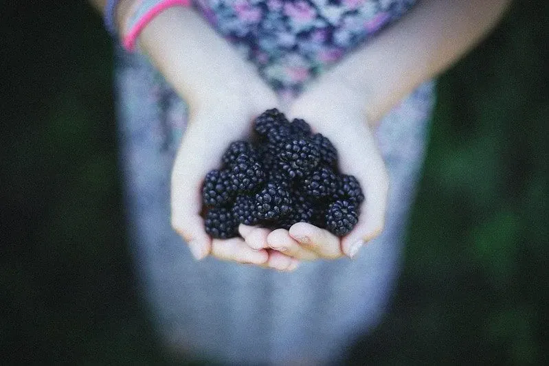Woman holding out a handful of blackberries.