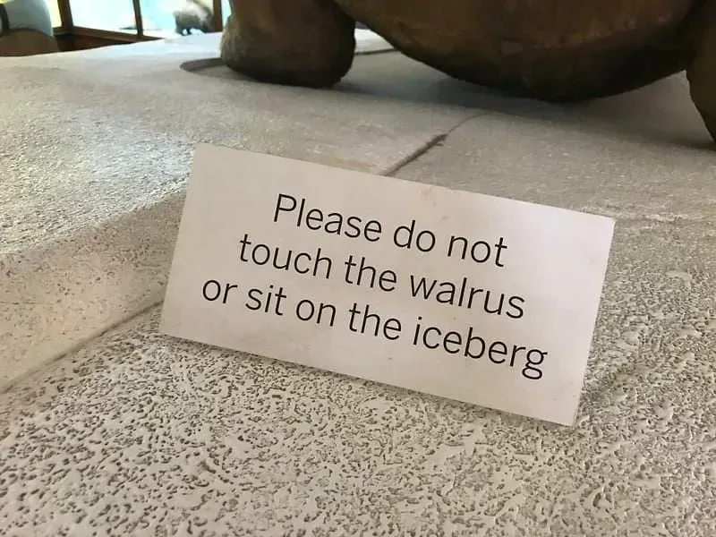 An interesting display sign which reads 'Please do not touch the walrus or sit on the iceberg'.