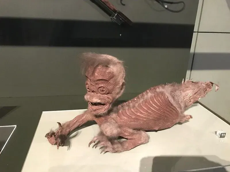A fake merman exhibit showcased in a museum.
