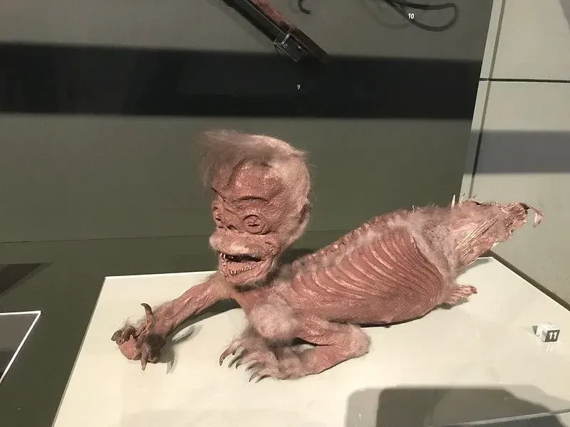 A fake merman exhibit at the Science Museum.
