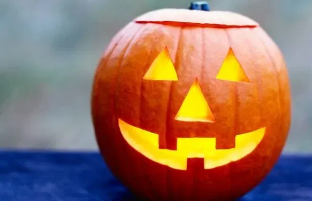 Everyone should get the chance to know how to carve a pumpkin for Halloween. 