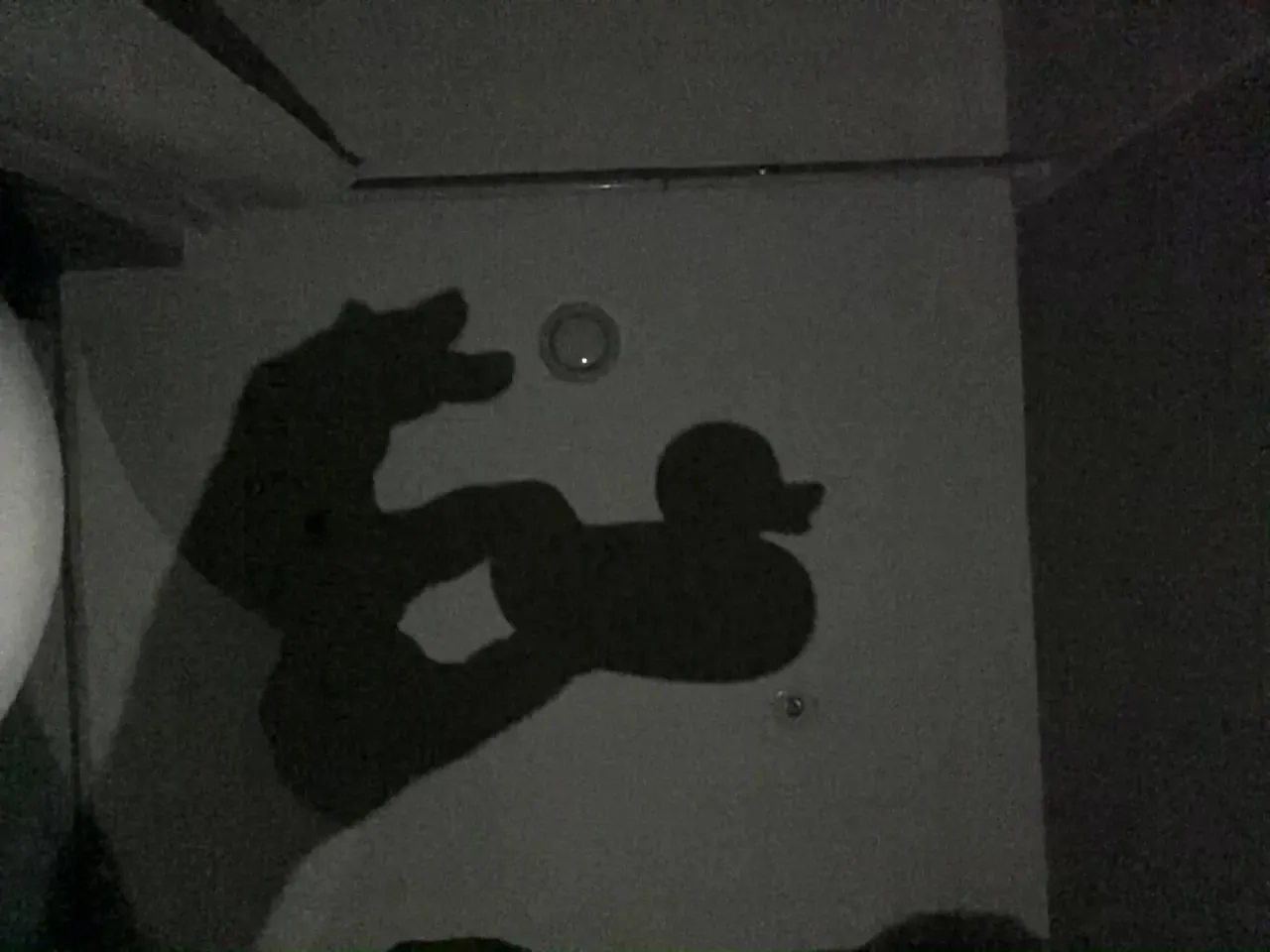 Shadow puppets can make a fun game at home.