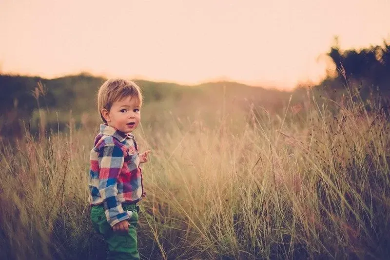 Boy exploring field. 