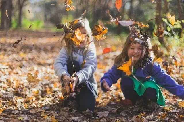 Bring the beauty of Fall into your classroom with these November preschool theme ideas.