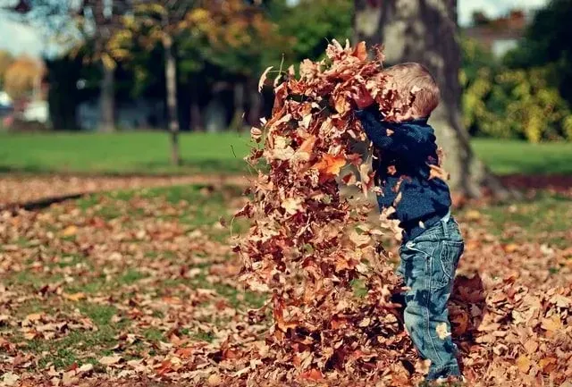 A leaf jumping party is the best toddler Fall activity that won't break the bank.