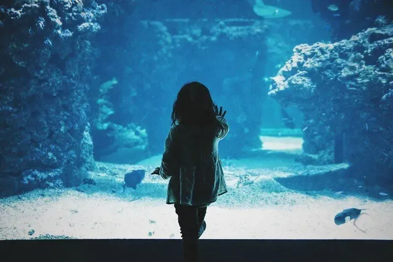 Little girl touching the glass of a tank at the aquarium.