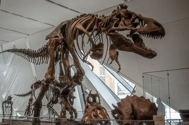 Dinosaurs are a favorite subject for many natural history lovers.