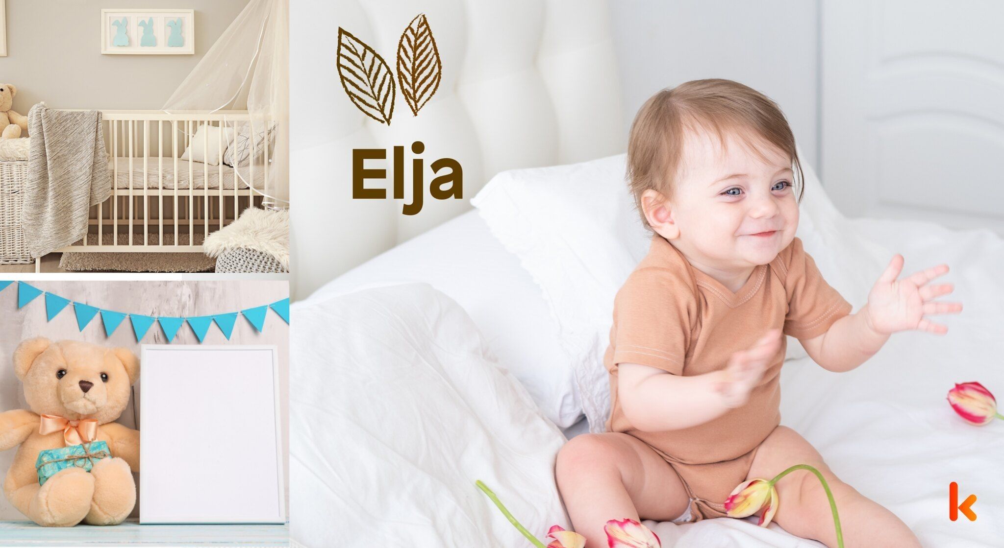 Meaning of the name Elja