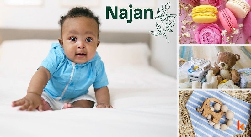 Meaning of the name Najan