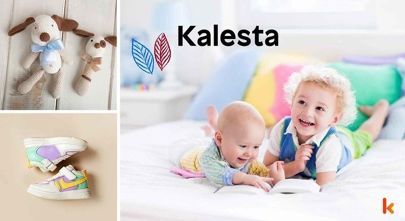 Meaning of the name Kallesta