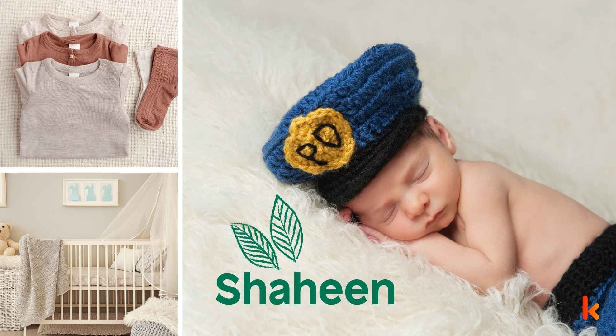 Meaning of the name Shaheen