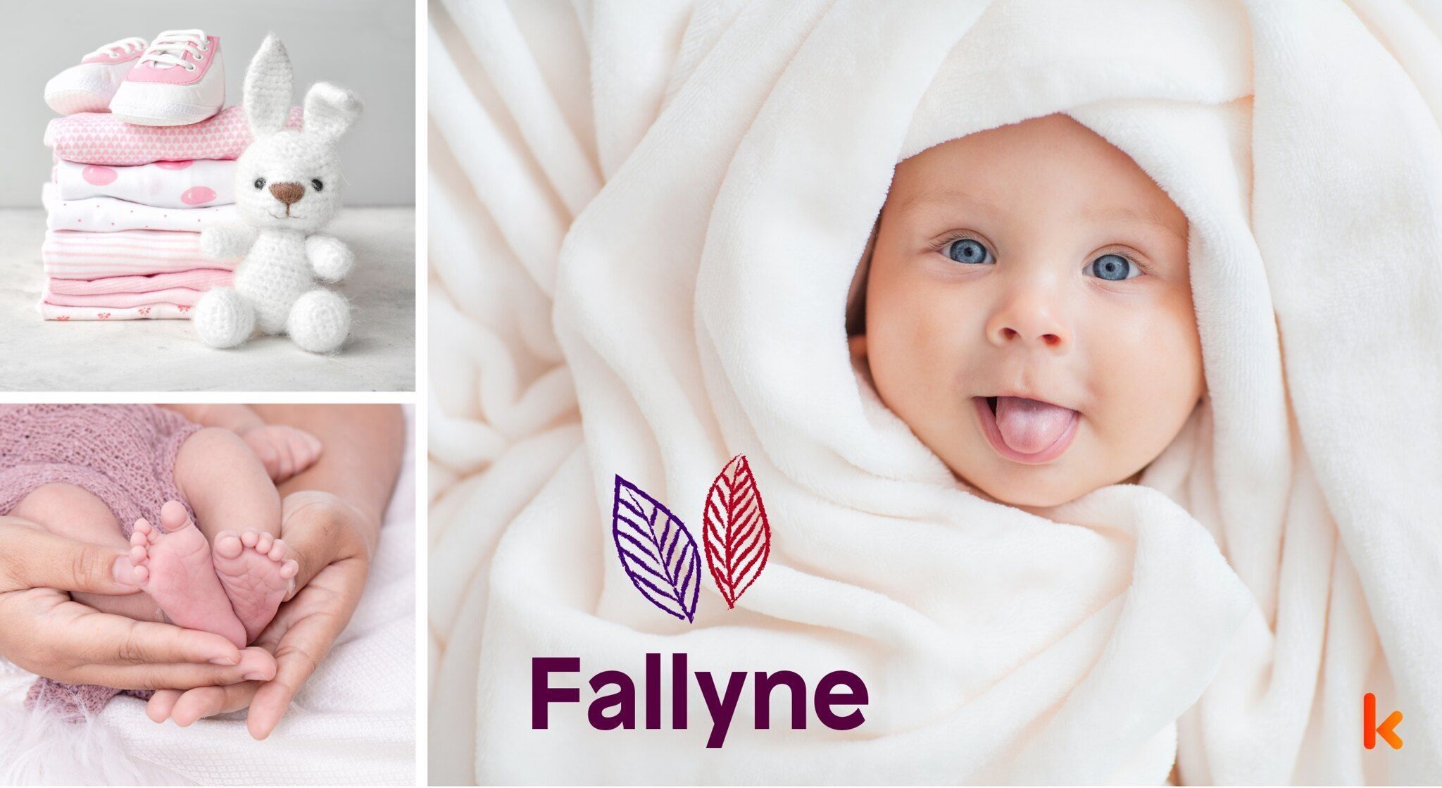 Meaning of the name Fallyne