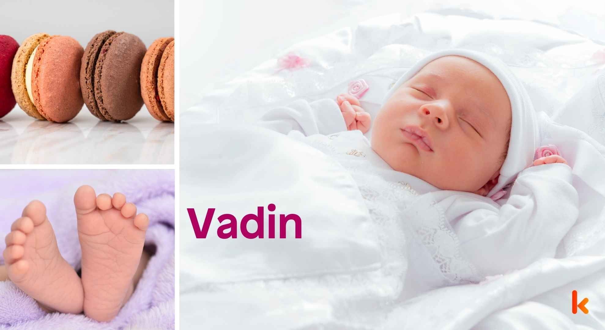 Meaning of the name Vadin