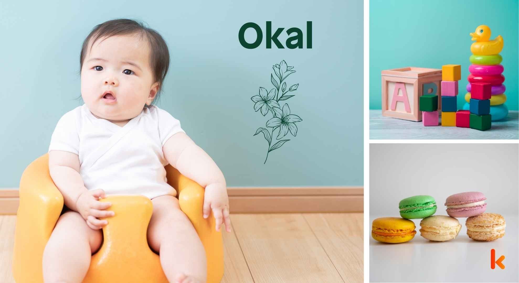 Meaning of the name Okal