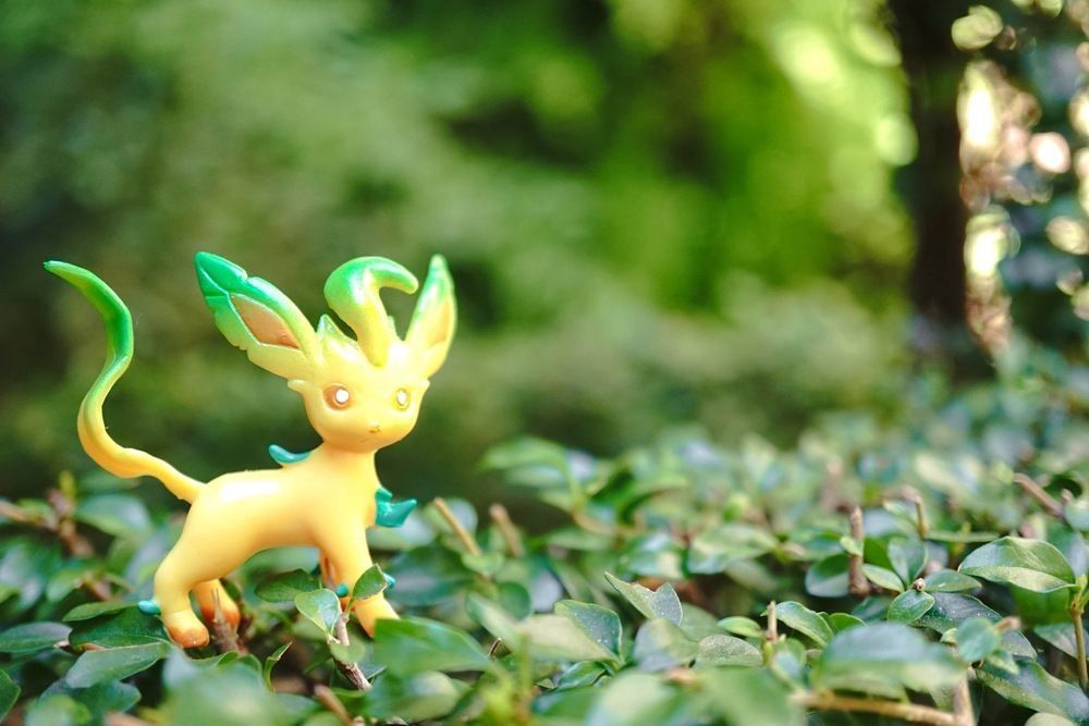 Grass-typed Pokemon called Leafeon, evolved from Eevie.