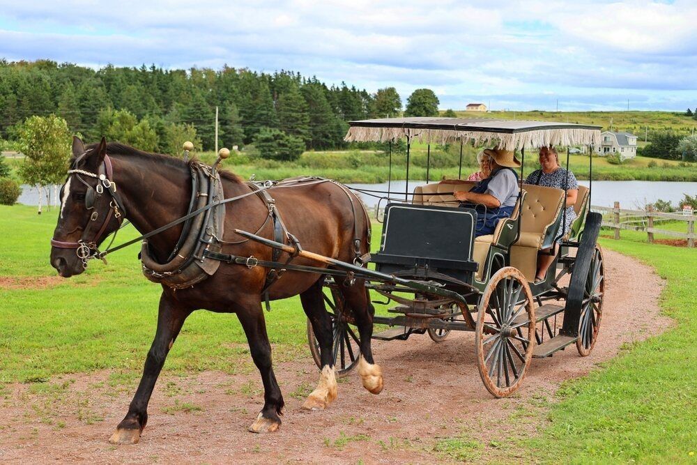 Horse carriage of the Green Gables served as the setting for the Anne of Green Gables novels by Lucy Maud Montgomery.