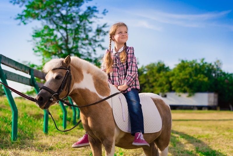 Beautiful little cowgirl riding horse pony. She has happy fun emotions, plaid shirt, blue jeans. Kids and animals family portrait. Nature amazing landscape in summer. Happy couple friends.