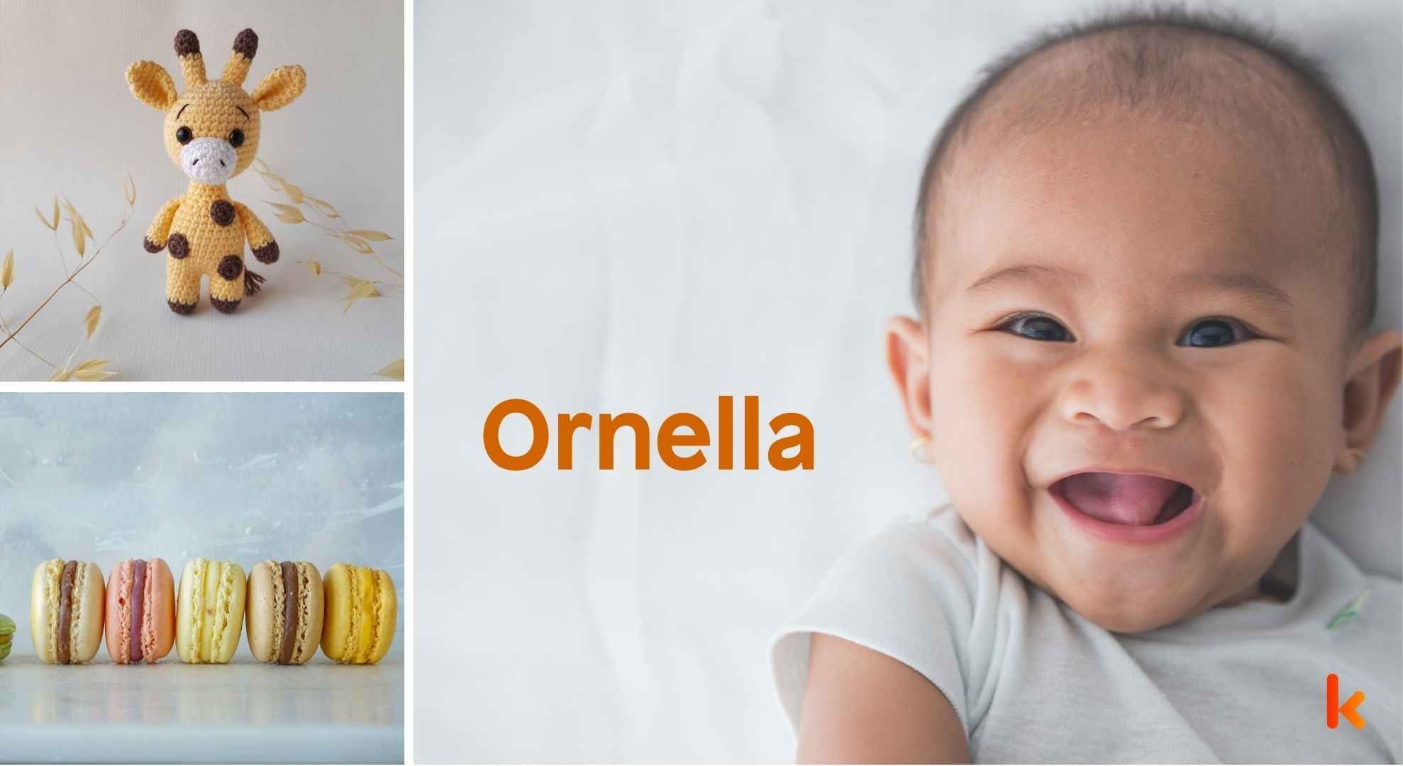 Meaning of the name Ornella