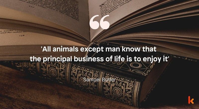 Samuel Butler quotes for literary lovers!