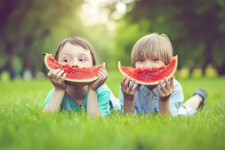 Two little boys eating watermelon on green grass