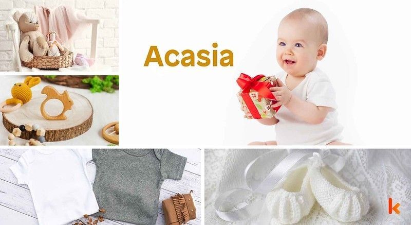 Meaning of the name Acasia