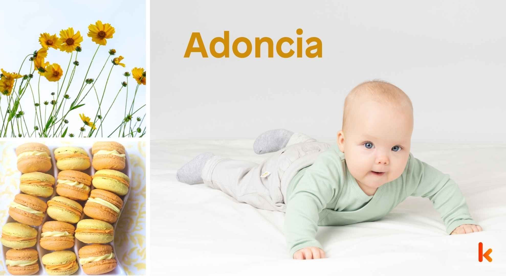 Meaning of the name Adoncia