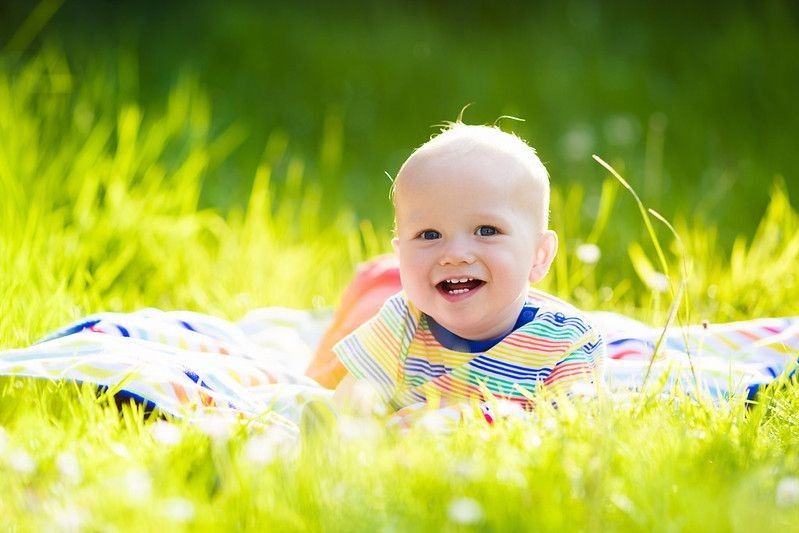 Adorable baby boy eating apple playing on colorful blanket in green grass