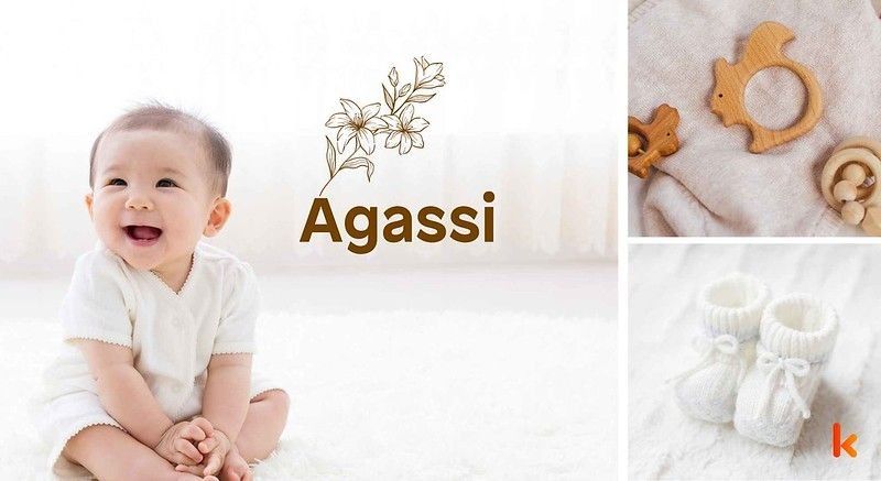 Meaning of the name Agassi
