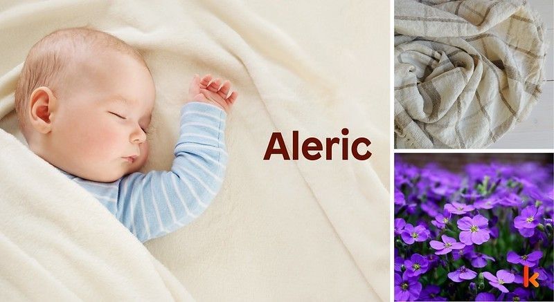 Meaning of the name Aleric