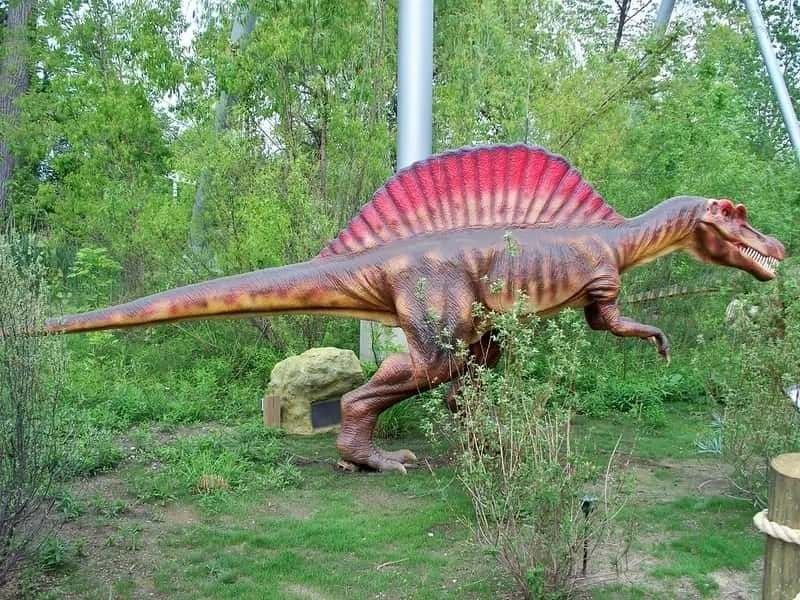 learn how did the spinosaurus look like