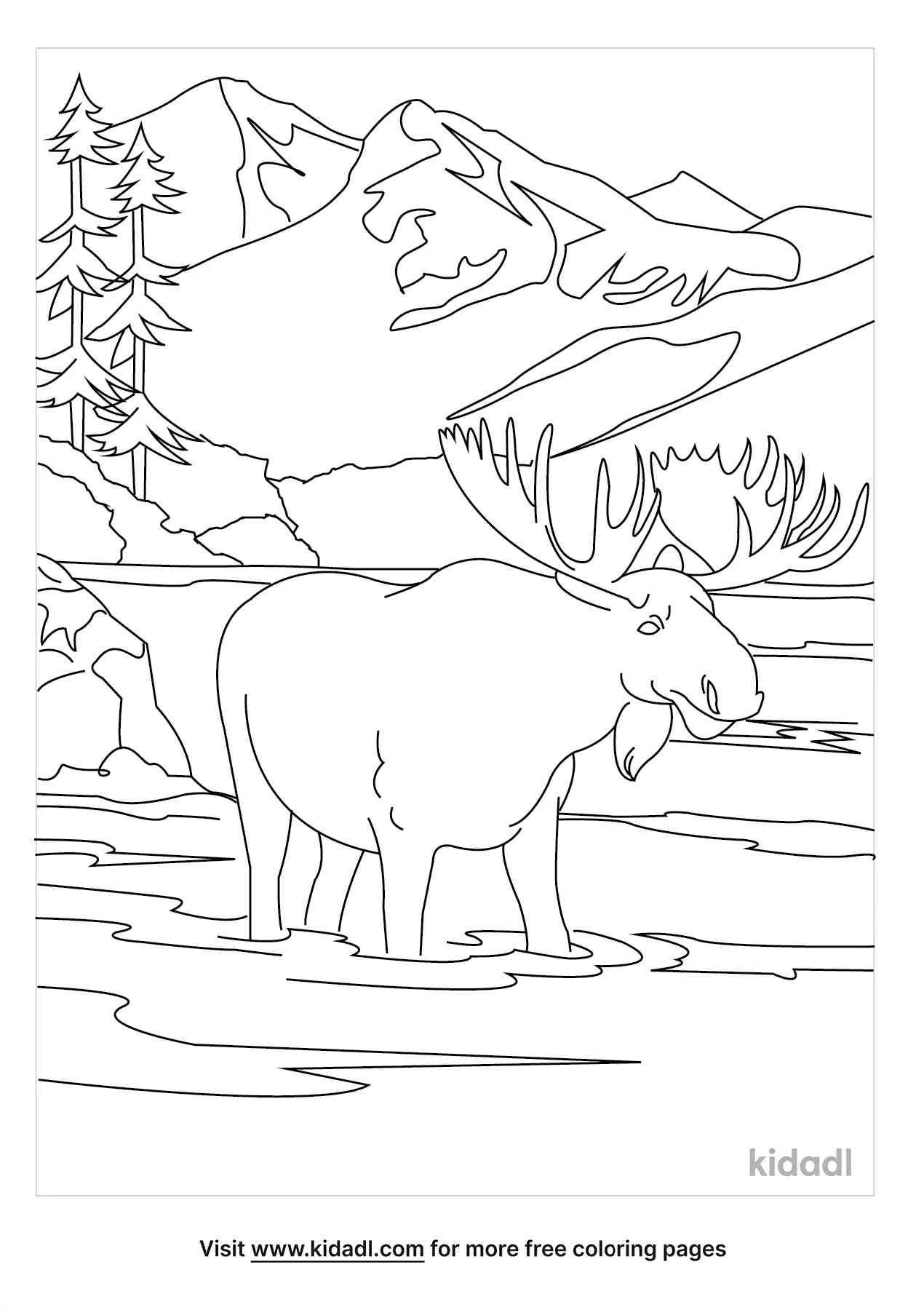 Amazing Denali facts and coloring pages for kids.