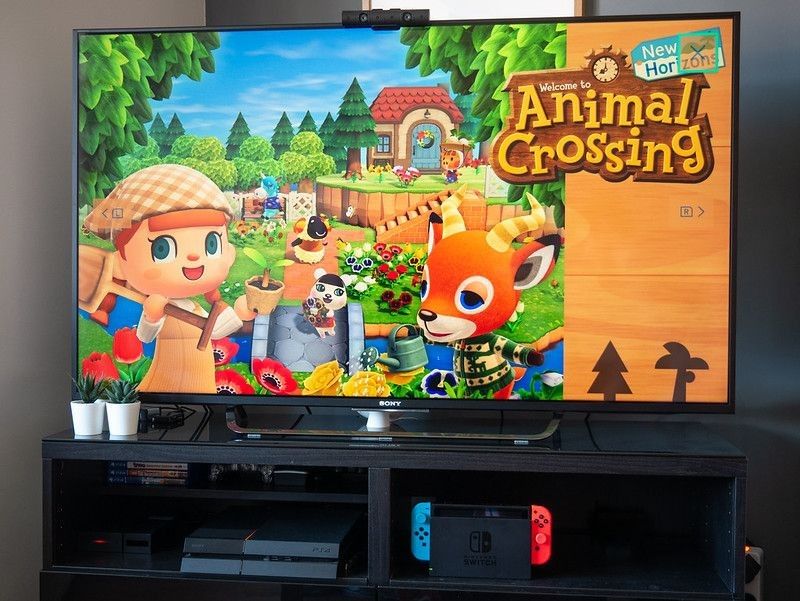 Animal Crossing new horizons on tv set up