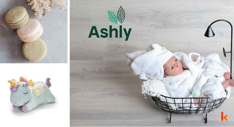 Meaning of the name Ashly