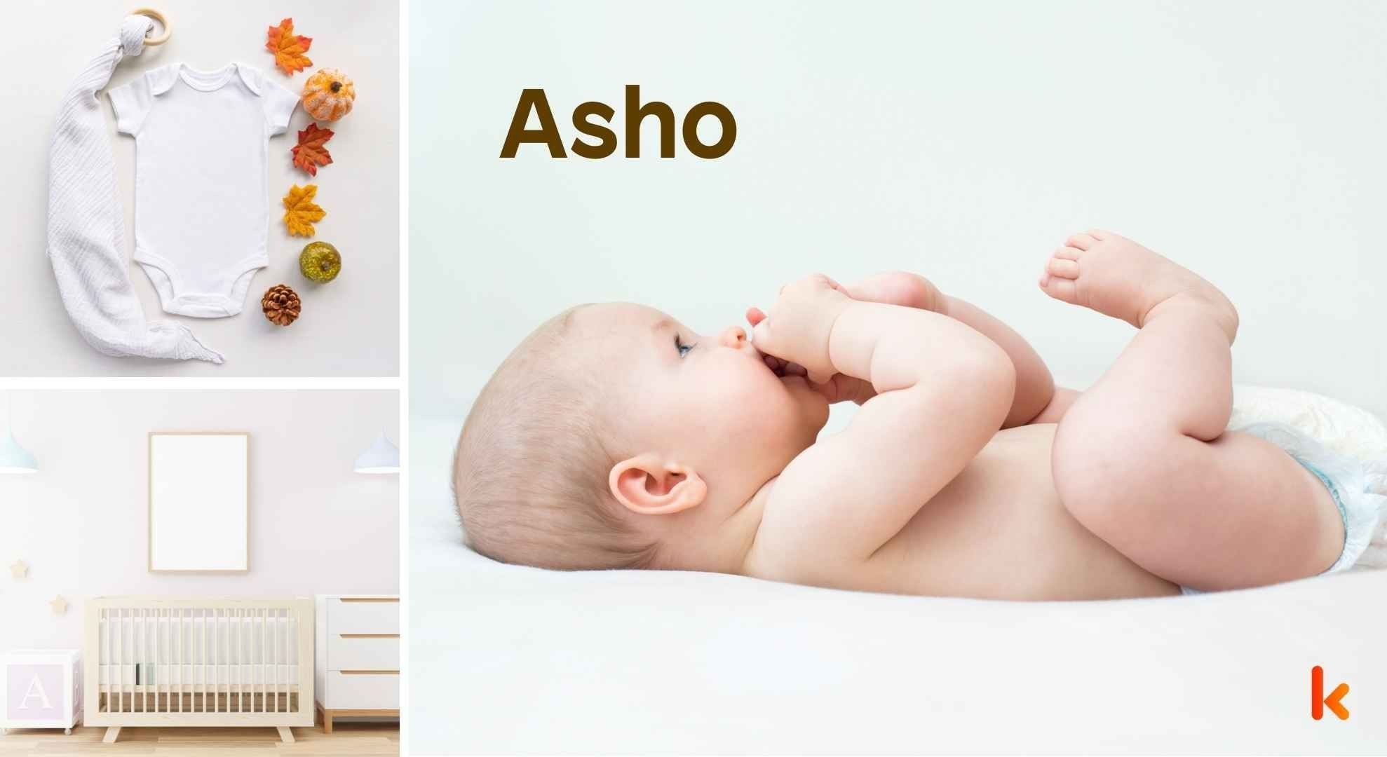 Meaning of the name Asho
