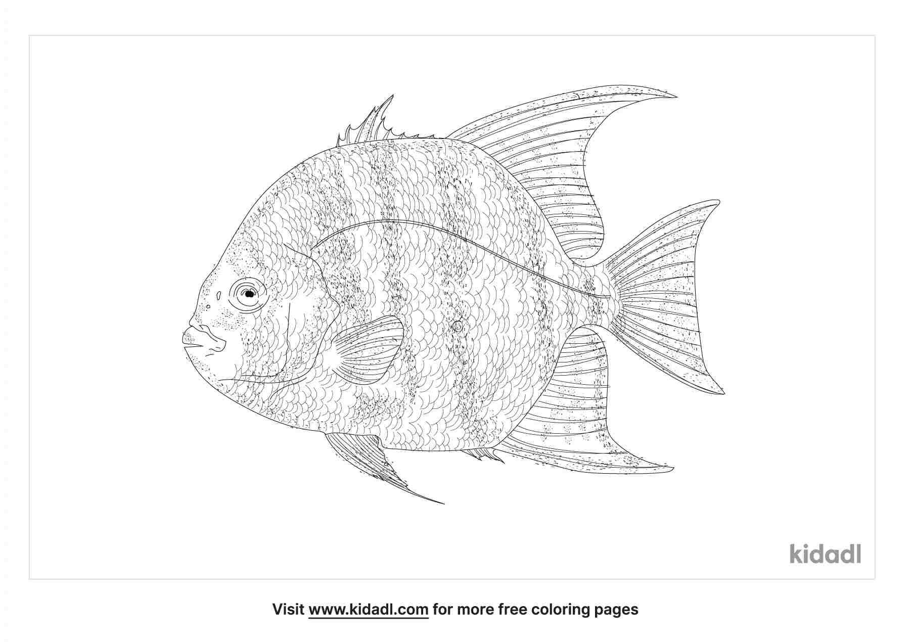 coloring page that contain atlantic spadefish