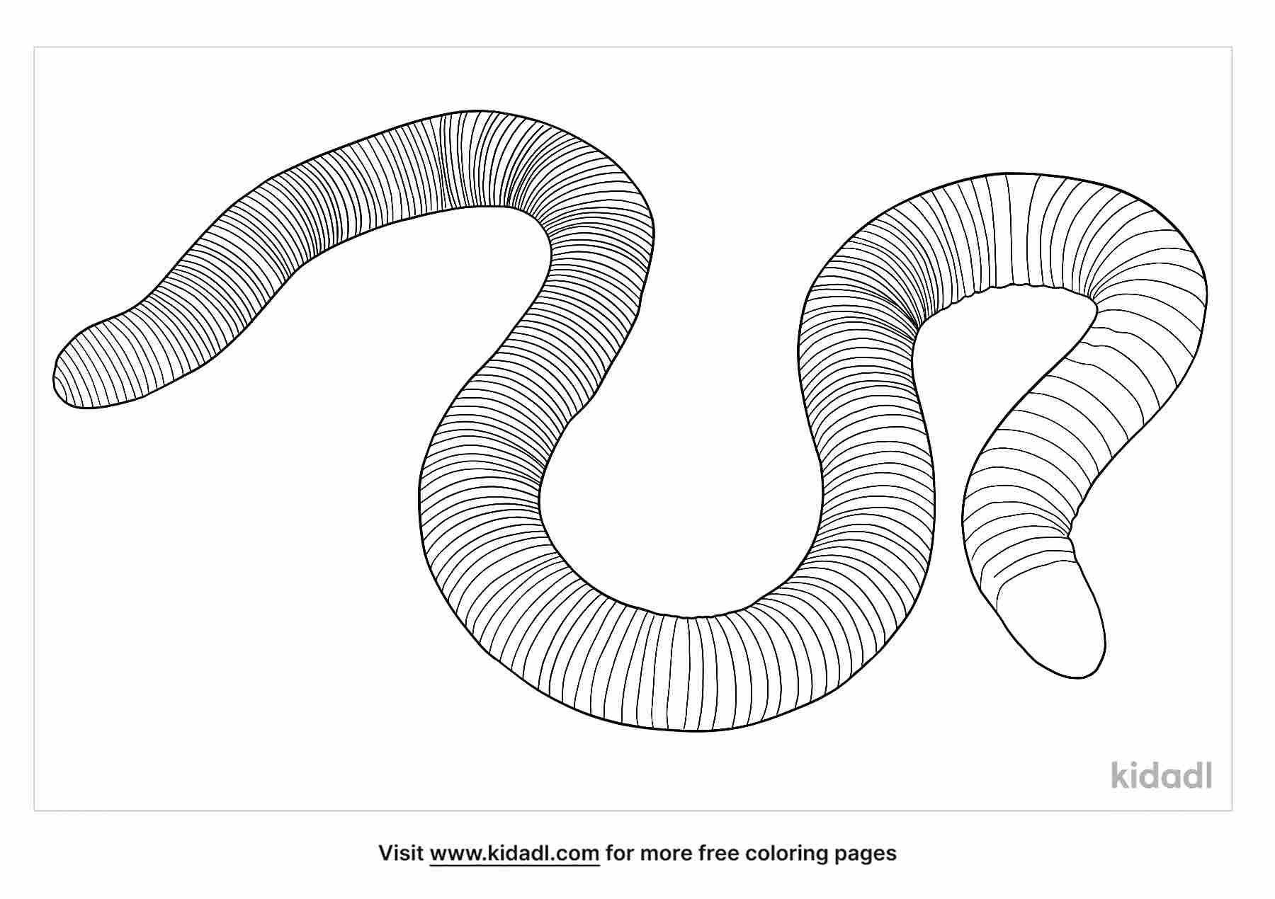 coloring page that have caecilian photo