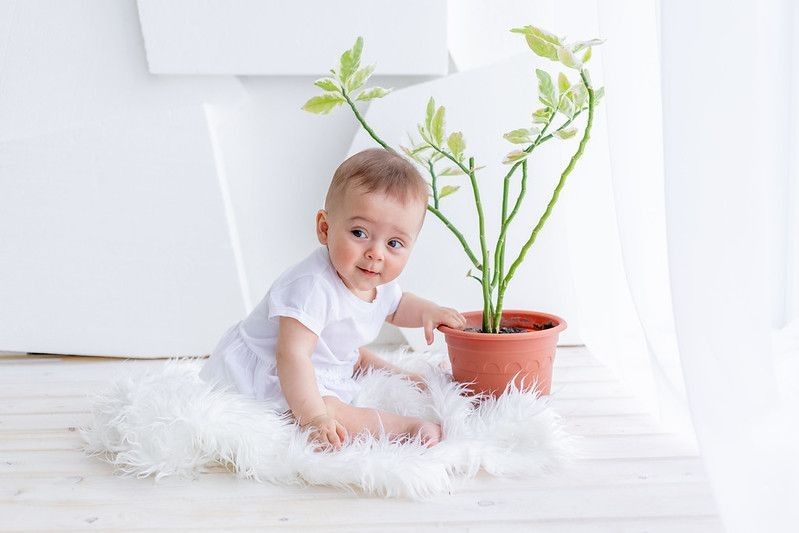 Baby boy sitting next to a plant indoor.