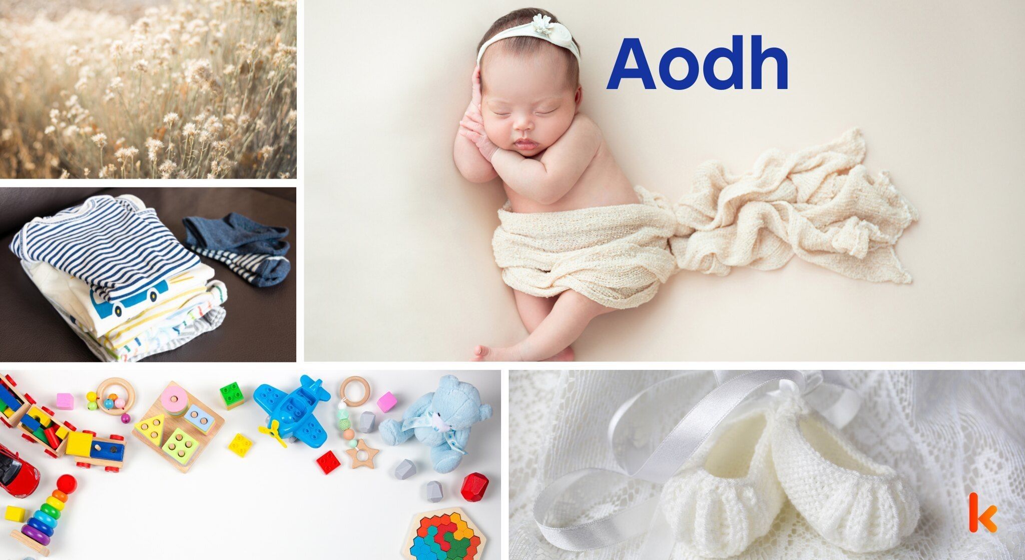 Meaning of the name Aodh