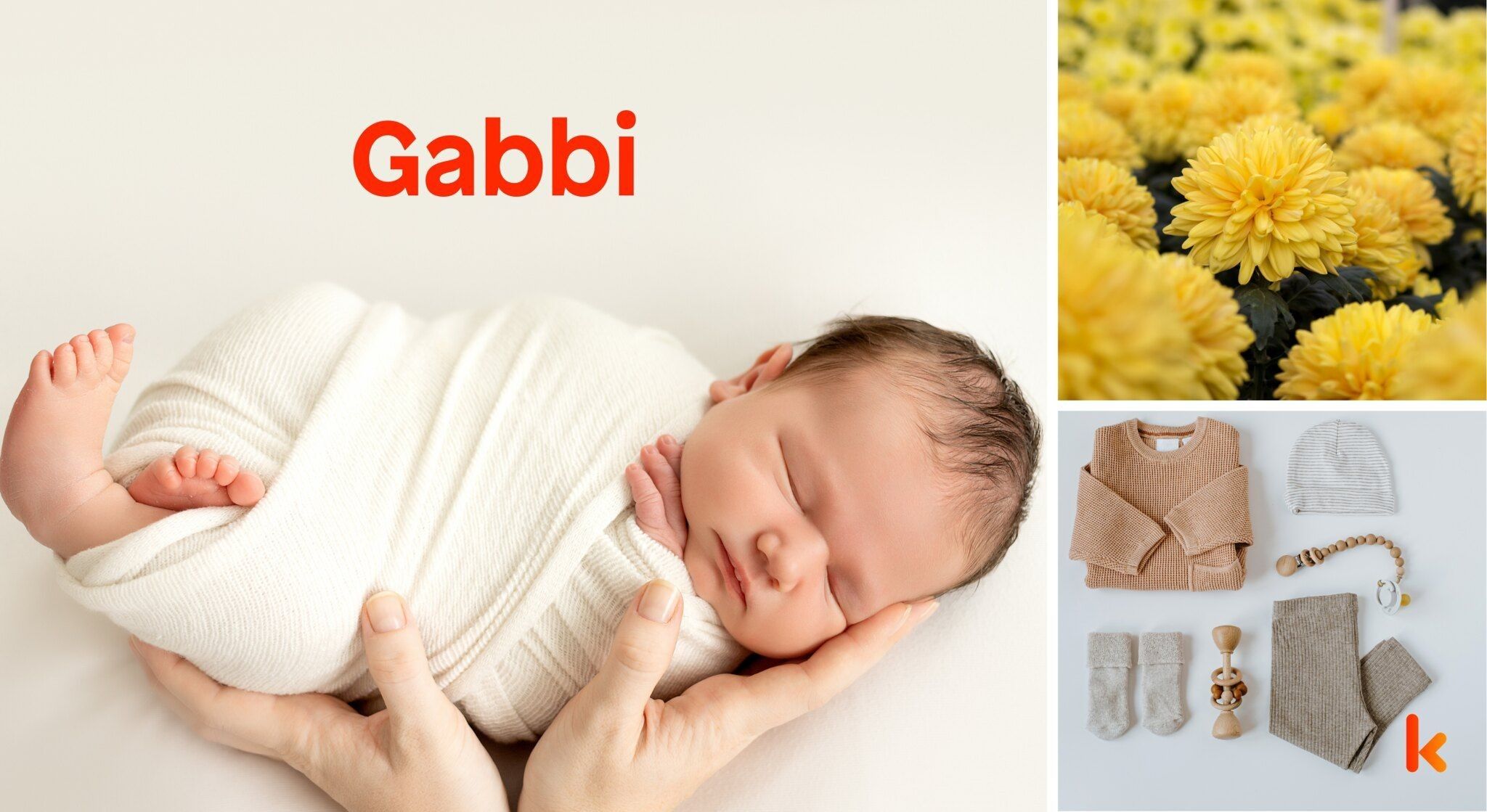 Meaning of the name Gabbi