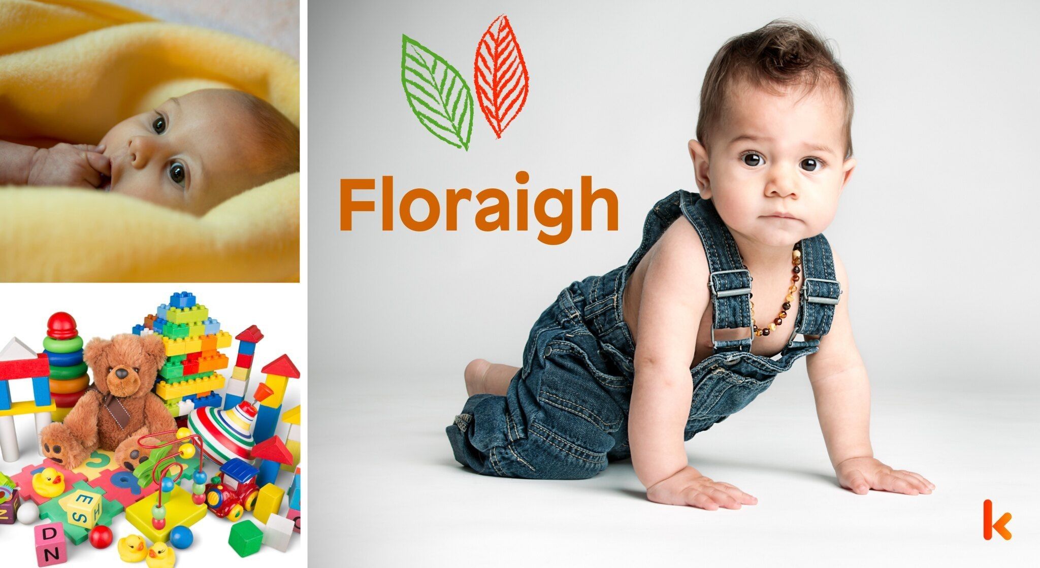 Meaning of the name Floraigh