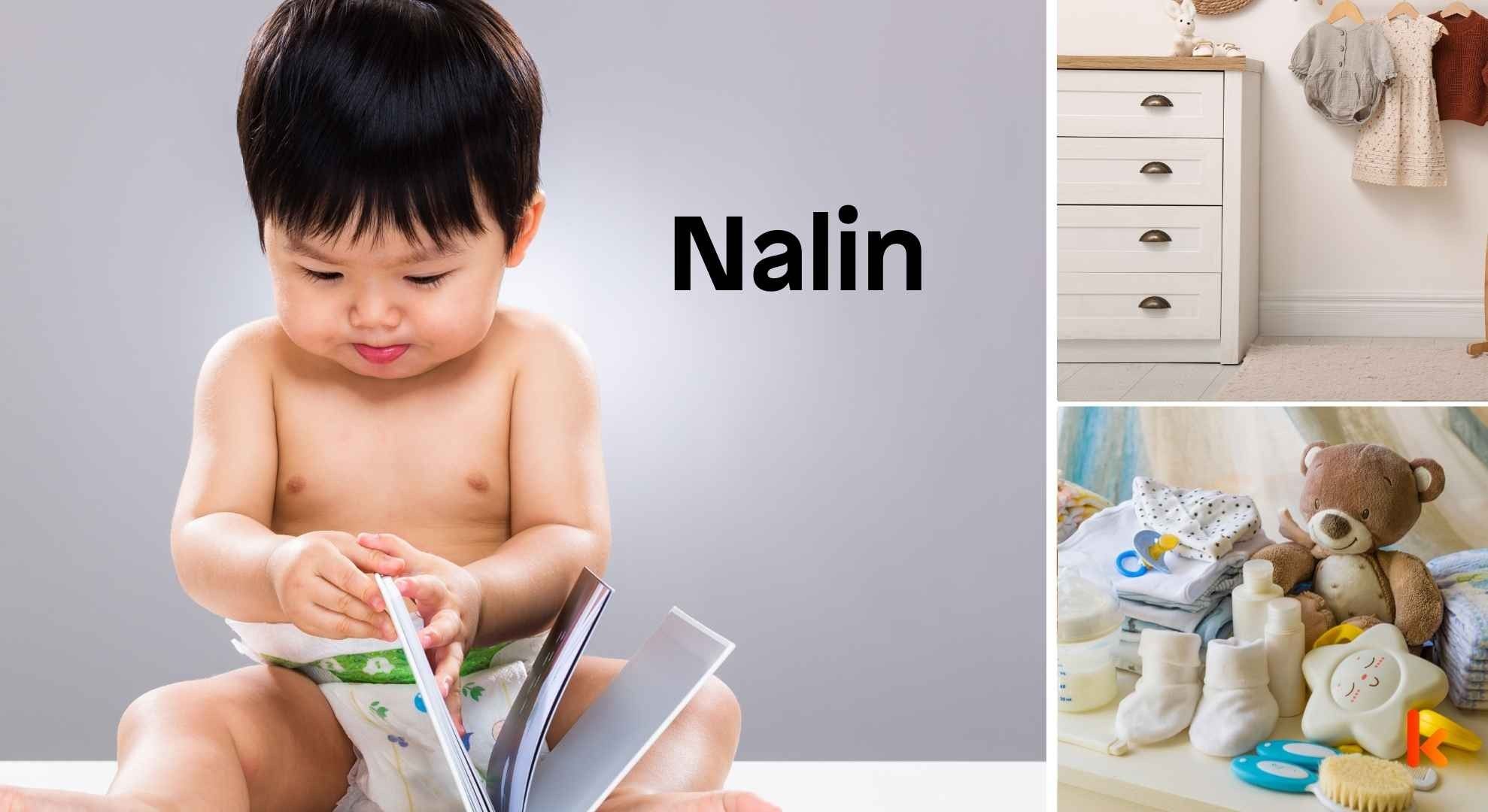 Meaning of the name Nalin