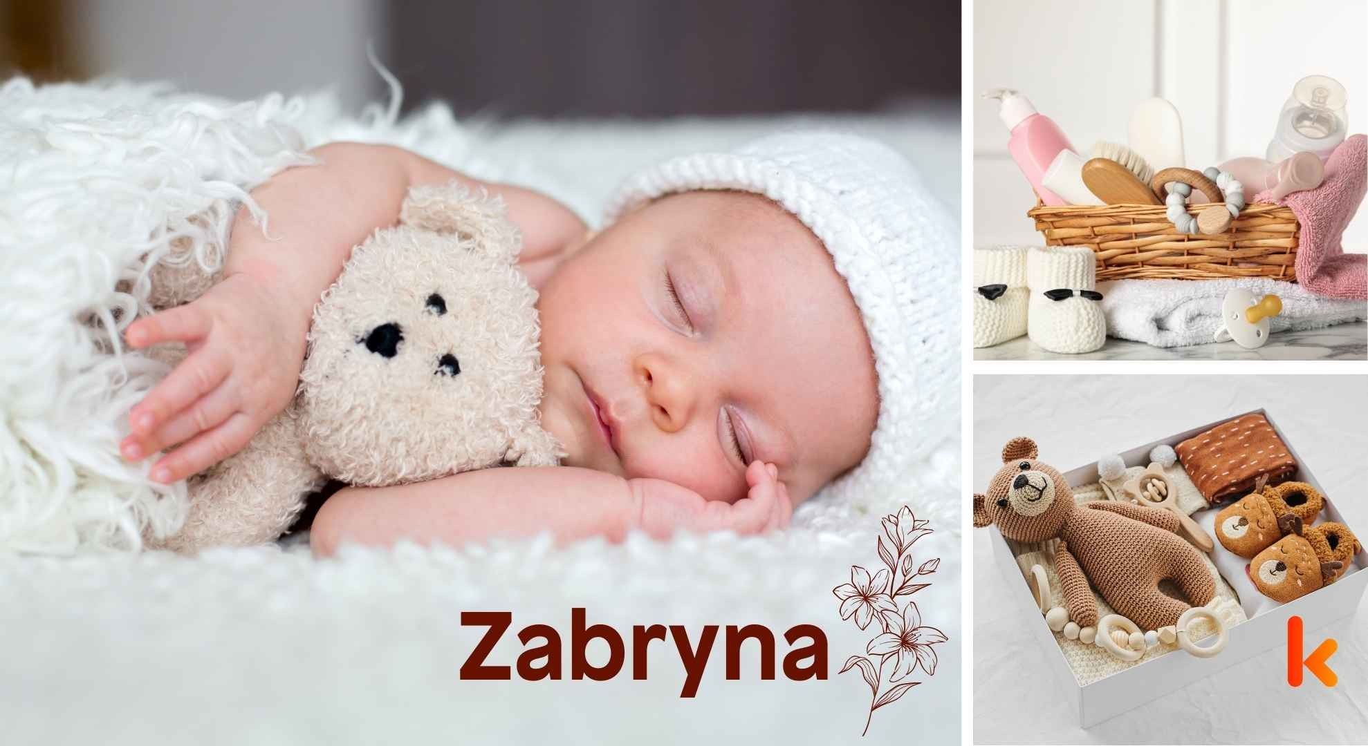 Meaning of the name Zabryna
