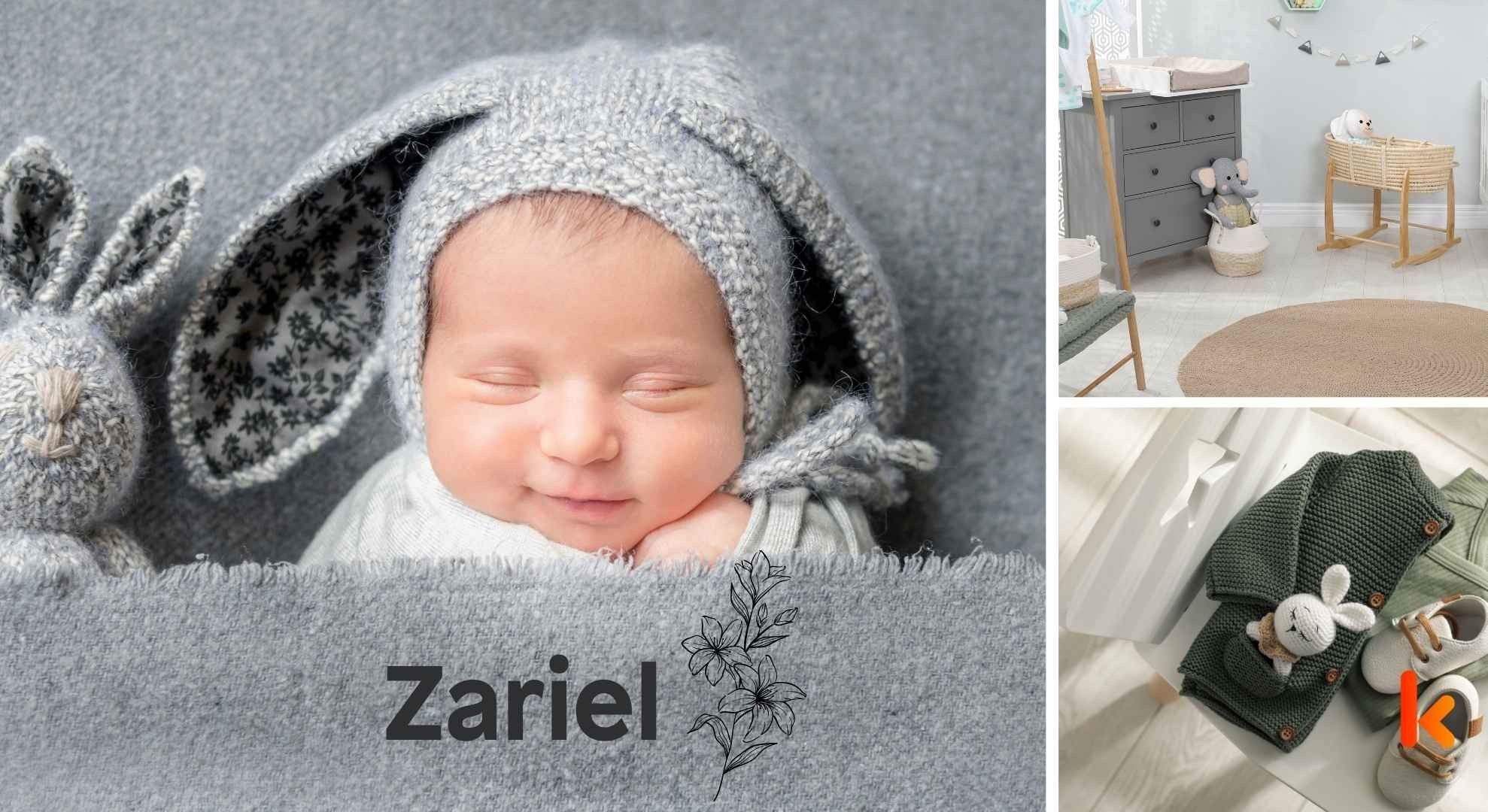 Meaning of the name Zariel